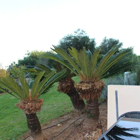 Apartman Spacious In 200 M² With Shared Pool Albufeira
